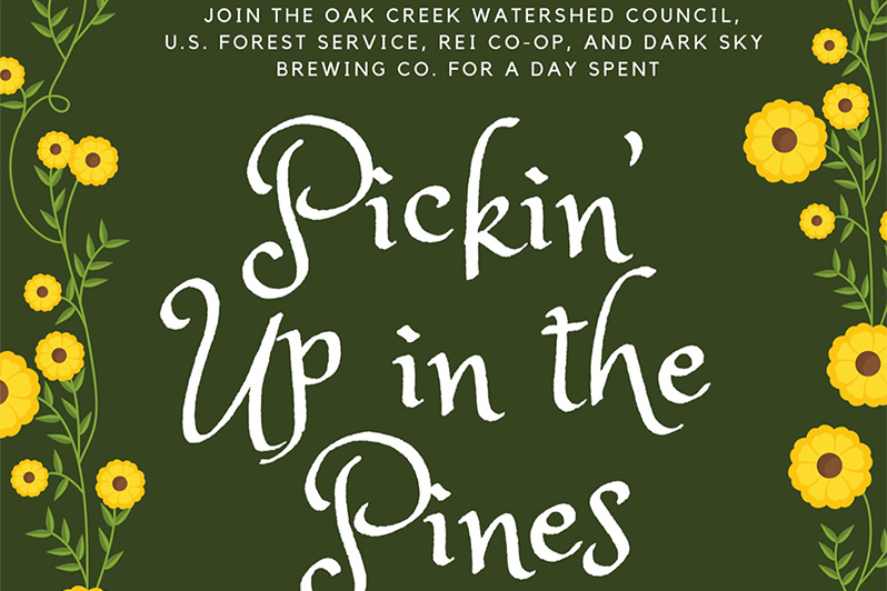 Pickin’ Up in the Pines
