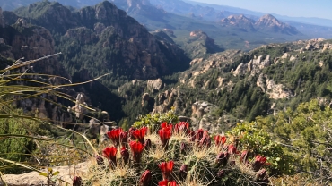 June Watershed Meeting- Climate Change in the Verde Valley