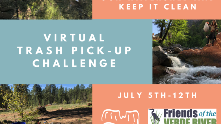 Virtual Trash Pick-Up Challenge- July 5th-12th